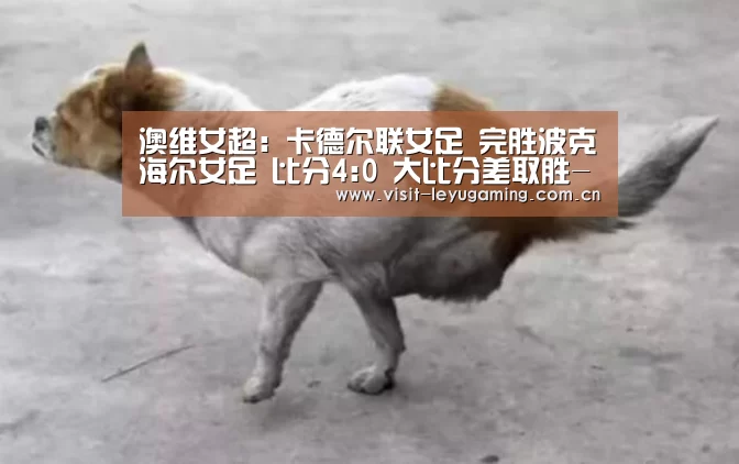 乐鱼