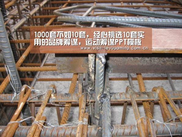 1000套不如10套,经心挑选10套实用的品牌筹谋,运动筹谋PPT模板【乐鱼】(图3) 乐鱼