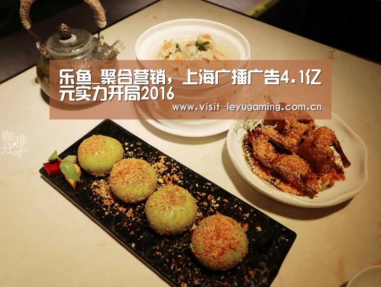 乐鱼_聚合营销,上海广播广告4.1亿元实力开局2016(图2) 2026发发发