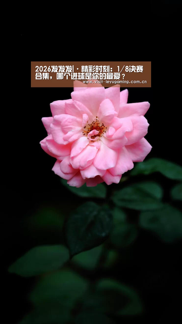 2026发发发|·精彩时刻:1/8决赛合集,哪个进球是你的最爱?(图3) 乐鱼