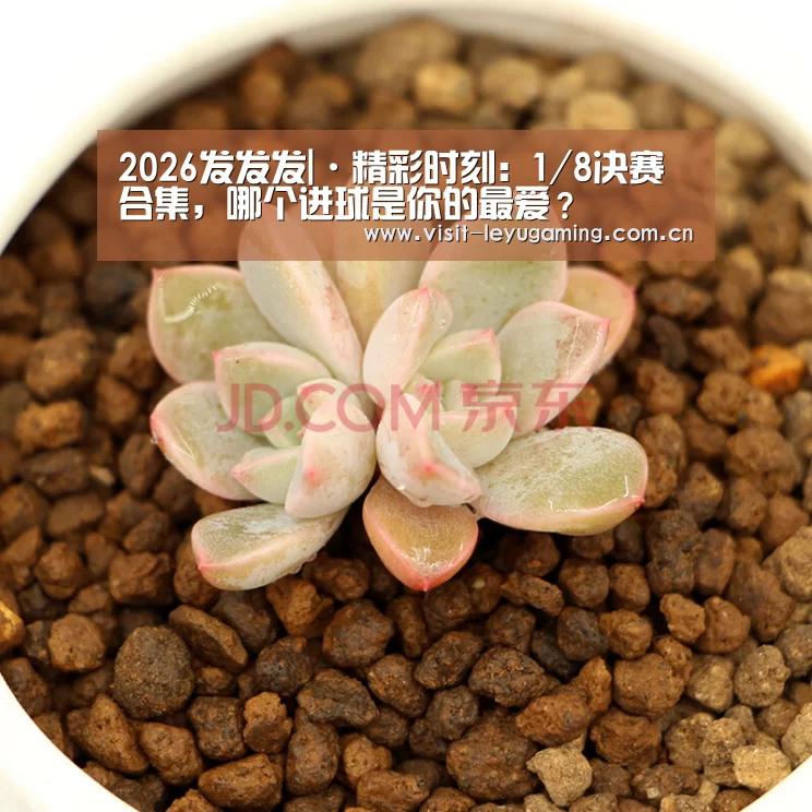 2026发发发|·精彩时刻:1/8决赛合集,哪个进球是你的最爱?(图2) 2026发发发